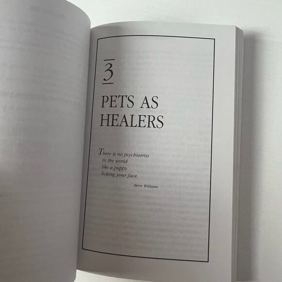 Chicken Soup For The Pet Lovers Soul - Picture 3 of 5